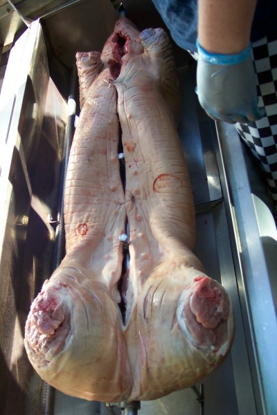 ../Images/The pig ready for cooking - poor piggy.jpg